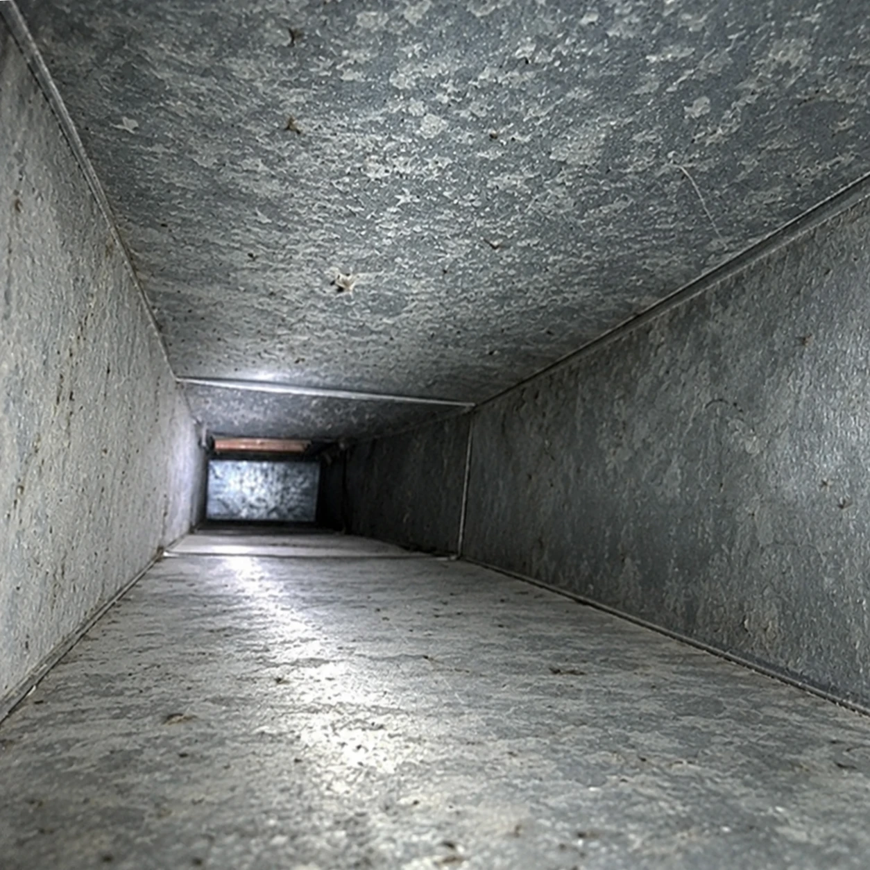 Duct Cleaning After 3